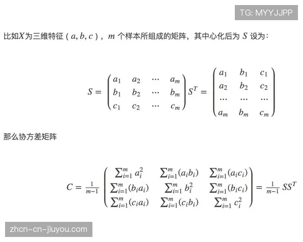 篮球数据分析师研讨会聚焦2026季后赛球队攻防效率方差及其预测模型 篮球数据分析师研讨会聚焦2026季后赛球队攻防效率方差及其预测模型